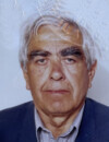  Nikola P Palušević 