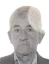 PEJO Blagojev BULAJIĆ