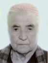 VIDOSAVA Blagote PAVIĆEVIĆ