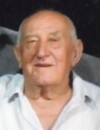 VOJISLAV Špira PEJOVIĆ