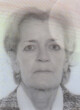 MILOJKA T. GLAVIČANIN
