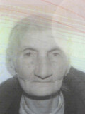 MIOLjKA Pulova GORANOVIĆ
