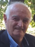 VLADIMIR Lekov MIRANOVIĆ