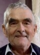 GAVRO Damjanov GLUŠAC