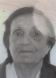 VIDNA Nikole KOVAČEVIĆ