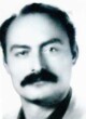 VOJISLAV Radovana PEKOVIĆ