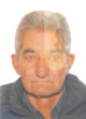 PAVIĆ Ilije ŽIŽIĆ