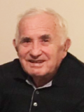 DRAGOMIR – DRAGO Radisavov NIKIĆ