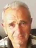 TOMO Nikolin ŠĆEKIĆ