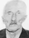 NENAD BAJČETA