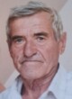 SLOBODAN Milisava STEVOVIĆ