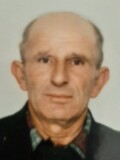 LABUD Mitrov RADUSINOVIĆ