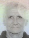 NjEGOSAVA Obrada DENDIĆ