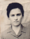 VELIKA Savova ŠOFRANAC