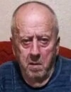 NOVAK Dušanov VUKSANOVIĆ
