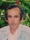 MILAN Radojev BACKOVIĆ