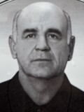 VULJAJ PREK NOJA