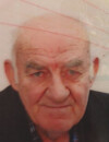 NEĐELjKO-MIŠO Petrov PEROVIĆ