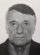 PETKO Ilije BEGOVIĆ