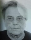 KOSA Novice MITROVIĆ