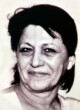 SENKA Nenada RADOIČIĆ