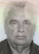 ŽARKO Punišin MALIŠIĆ