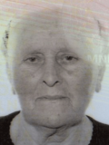 LjUBICA Lazara VULETIĆ