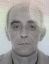 VUČETA Vojislava NIKITOVIĆ