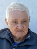 MILUTIN Mitrov MAŠANOVIĆ