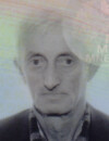 SAVO Petra ŠOROVIĆ