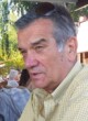 NEBOJŠA Kostov VRBICA