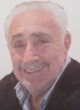 RADIVOJE ORLANDIĆ