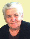 FIMA Dragiše VUJIČIĆ