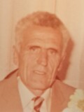 Vujošević Radisav, Dobrica i Danica