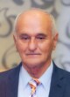 VESELIN ZLATIČANIN