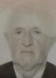 VUK  BULATOVIĆ