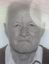 MILAN Stevov ZAILAC