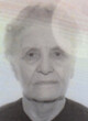 DARINKA  B.  BOŽOVIĆ