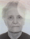 DARINKA  B.  BOŽOVIĆ