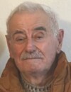 MILUTIN Velišin MIŠOLIĆ