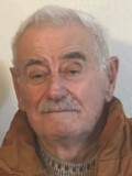 MILUTIN Velišin MIŠOLIĆ