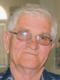 RADOSLAV V. IZGAREVIĆ