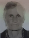 GOSPAVA Mirkova VUČETIĆ