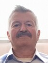 DRAGIŠA-MILE DAMJANOVIĆ