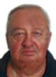 Miki Milutinović