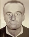  BOGDAN M. KRSTAJIĆ 