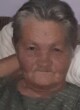 dragica gošović