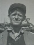 TOMOVIĆ