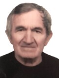 MILAN Vasa PAVLOVIĆ