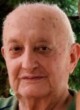 Vojo Stanić